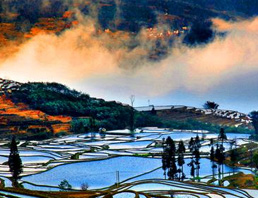 [云南]西山區(qū)金碧街道復(fù)興社區(qū)“五心工作站”